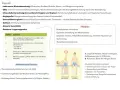 Schema zur Diagnose und Therapie der pAVK mit Illustrationen von Beinübungen.