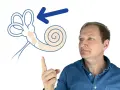 Mann zeigt auf schematische Darstellung des Innenohrs mit Pfeil.