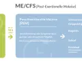 Grafik mit grüner Box "Tätigkeiten" und blauer Box "Post-Exertionelle Malaise [PEM]" mit Symptomen.