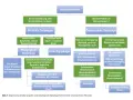 Flussdiagramm zur Unterscheidung von Schluckstörungen: zervikale und ösophageale Dysphagie.