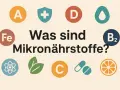 Symbole für Vitamine (A, D, B2, C), Mineralstoffe (Fe) und weitere Nährstoffe mit Text "Was sind Mikronährstoffe?".