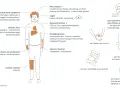 Morbus Wilson Diagnose: Schritte, Tests & Symptome erklärt