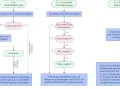 Polycythaemia vera Diagnose: JAK2, WHO-Kriterien & mehr erklärt