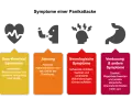 Vier Icons zeigen Symptome einer Panikattacke: Herz, Atmung, Kopfschmerzen, Magen. Darunter sind die Symptome kategorisiert.
