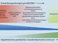 Schema von Entwicklungsstörungen nach DSM-5, mit Kategorien wie ADHS, Autismus und Intelligenzminderung.