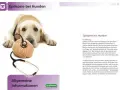 Epilepsie Hund: Medikamente, Kosten & Leben mit der Krankheit