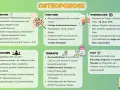 Infografik zu Osteoporose: Definition, Symptome, Ursachen, Therapie, Epidemiologie und Fazit.