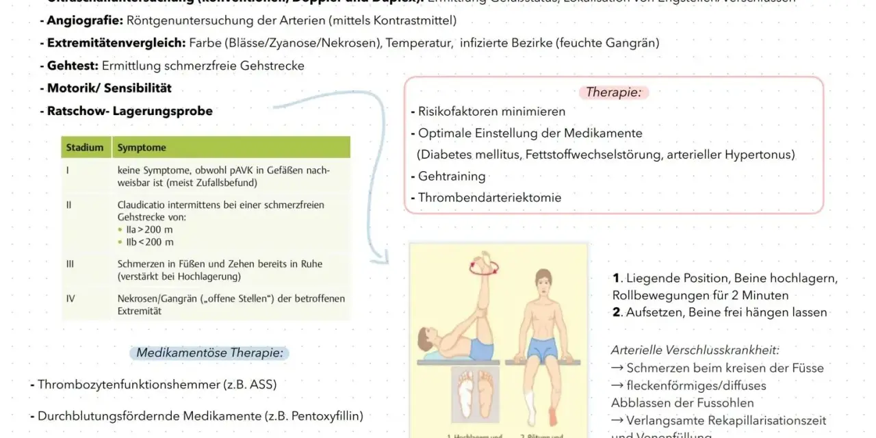 Schema zur Diagnose und Therapie der pAVK mit Illustrationen von Beinübungen.