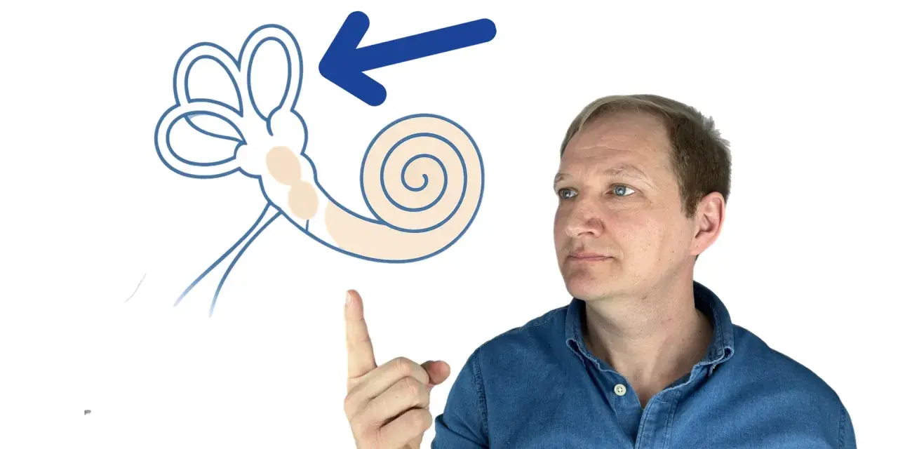 Mann zeigt auf schematische Darstellung des Innenohrs mit Pfeil.
