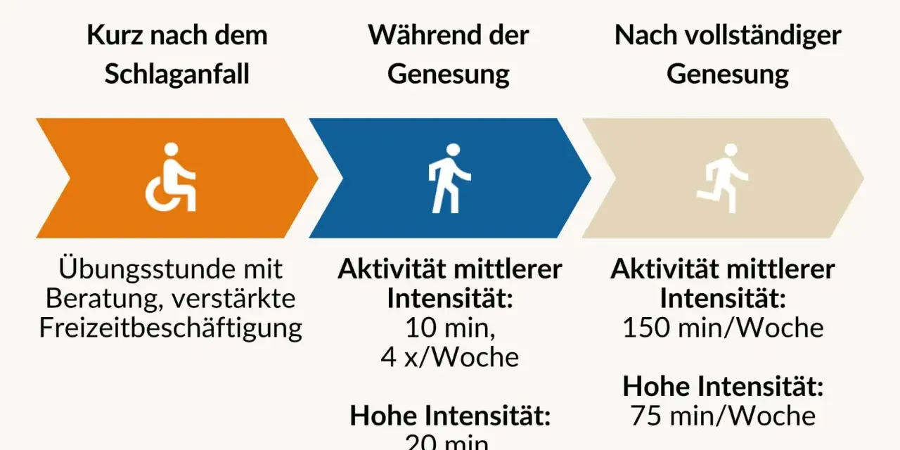 Empfohlene Aktivitäten nach Schlaganfall: Ergotherapie, Übungen, Beratung und gesteigerte Freizeitaktivitäten zur Genesung.