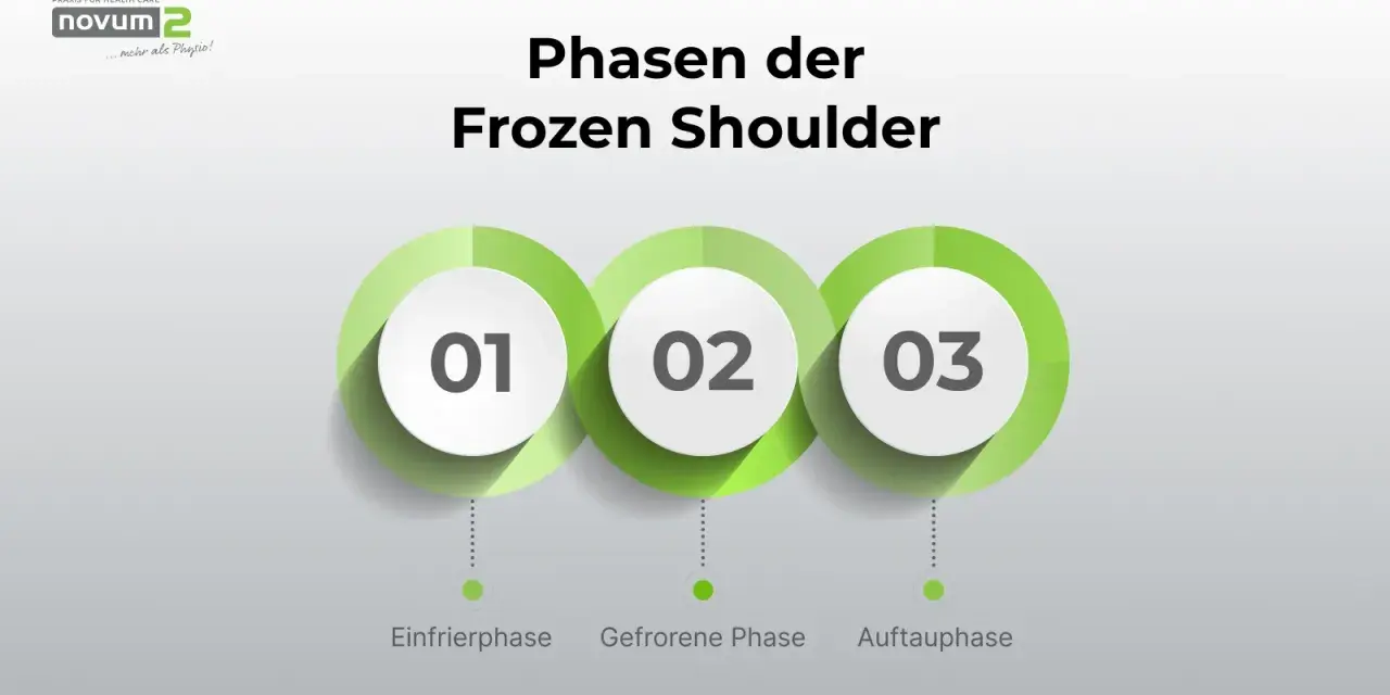 Die drei Phasen der Frozen Shoulder: Einfrierphase, Gefrorene Phase und Auftauphase.