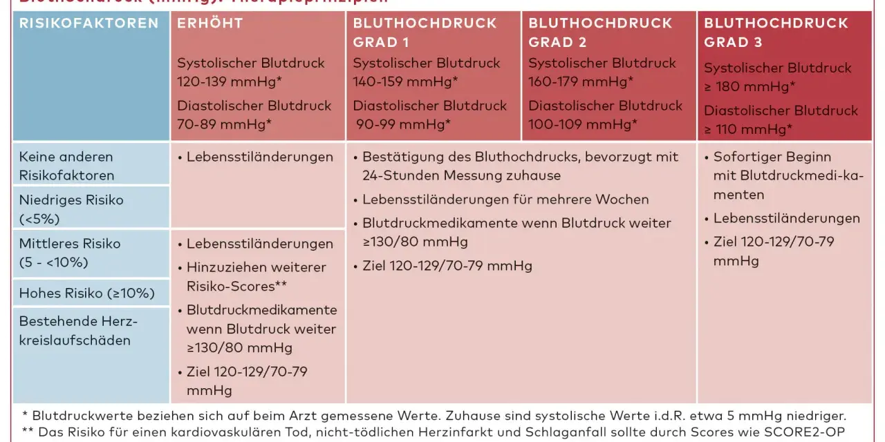 Tabelle mit Blutdruckwerten, Risikofaktoren und Therapieprinzipien für Bluthochdruck.