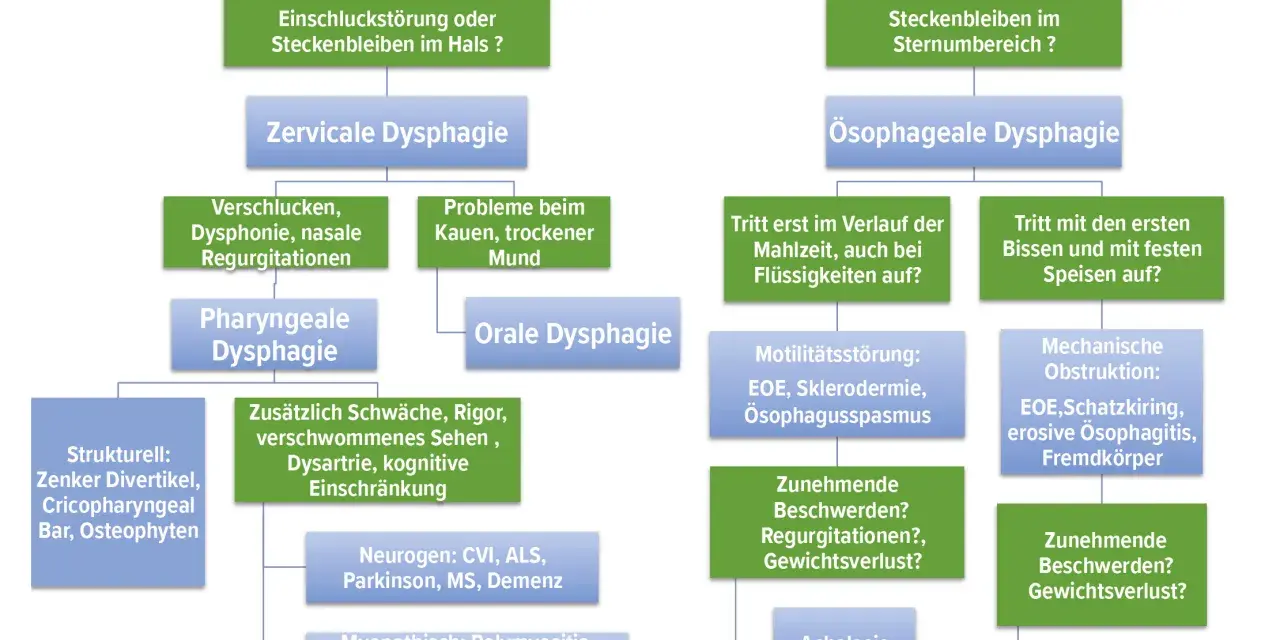 Flussdiagramm zur Unterscheidung von Schluckstörungen: zervikale und ösophageale Dysphagie.