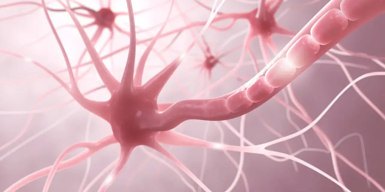 Nahaufnahme von Neuronen, die auf gereizte Nerven Symptome hindeuten. Die Nervenenden sind stark verzweigt und leuchten.