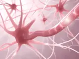 Nahaufnahme von Neuronen, die auf gereizte Nerven Symptome hindeuten. Die Nervenenden sind stark verzweigt und leuchten.