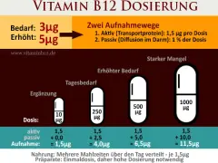 Vitamin B12 richtig einnehmen: Dosierung, Zeitpunkt & Formen