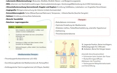 Schema zur Diagnose und Therapie der pAVK mit Illustrationen von Beinübungen.