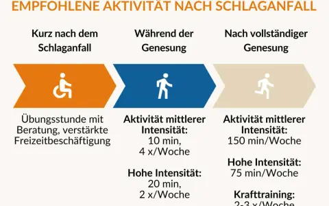 Empfohlene Aktivitäten nach Schlaganfall: Ergotherapie, Übungen, Beratung und gesteigerte Freizeitaktivitäten zur Genesung.