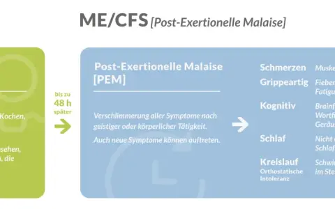 Grafik mit grüner Box "Tätigkeiten" und blauer Box "Post-Exertionelle Malaise [PEM]" mit Symptomen.