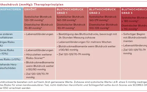 Tabelle mit Blutdruckwerten, Risikofaktoren und Therapieprinzipien für Bluthochdruck.