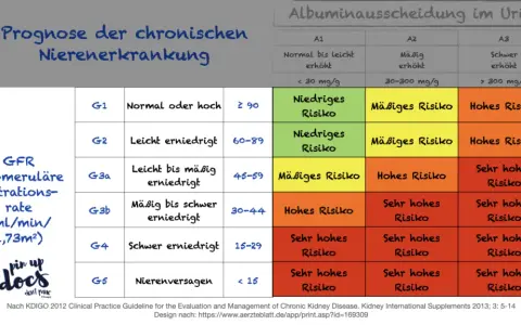 Chronische Niereninsuffizienz: Diagnose & Stadien einfach erklärt