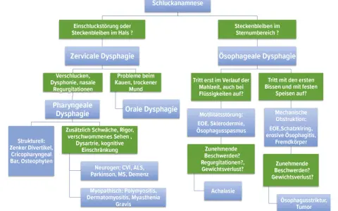 Flussdiagramm zur Unterscheidung von Schluckstörungen: zervikale und ösophageale Dysphagie.