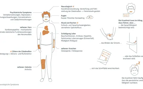 Morbus Wilson Diagnose: Schritte, Tests & Symptome erklärt