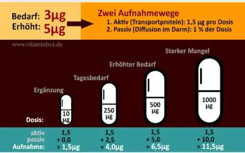 Vitamin B12 richtig einnehmen: Dosierung, Zeitpunkt & Formen