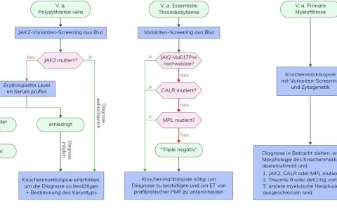 Polycythaemia vera Diagnose: JAK2, WHO-Kriterien & mehr erklärt