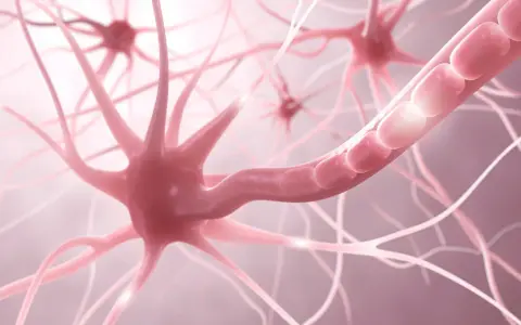 Nahaufnahme von Neuronen, die auf gereizte Nerven Symptome hindeuten. Die Nervenenden sind stark verzweigt und leuchten.