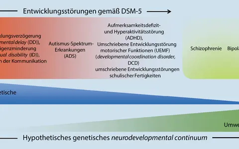 Schema von Entwicklungsstörungen nach DSM-5, mit Kategorien wie ADHS, Autismus und Intelligenzminderung.