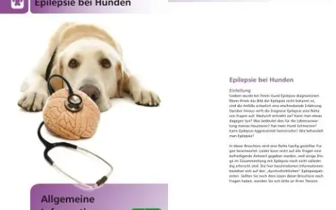 Epilepsie Hund: Medikamente, Kosten & Leben mit der Krankheit