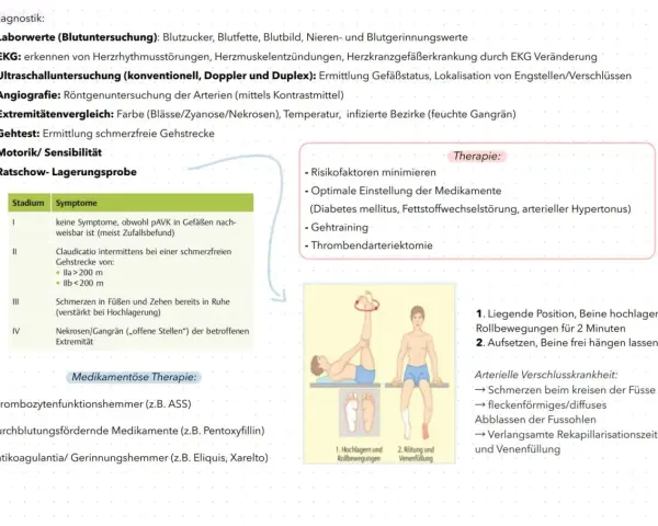 Schema zur Diagnose und Therapie der pAVK mit Illustrationen von Beinübungen.