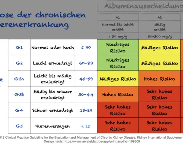 Chronische Niereninsuffizienz: Diagnose & Stadien einfach erklärt