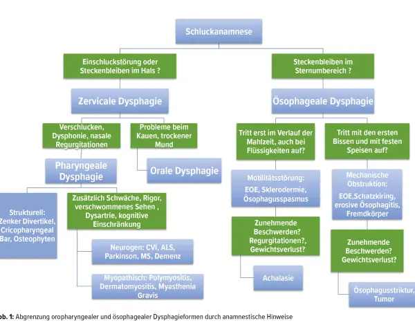 Flussdiagramm zur Unterscheidung von Schluckstörungen: zervikale und ösophageale Dysphagie.