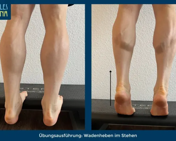Wadenheben zur Linderung von Achillodynie-Symptomen. Die Übung zeigt die Anspannung der Wadenmuskulatur.