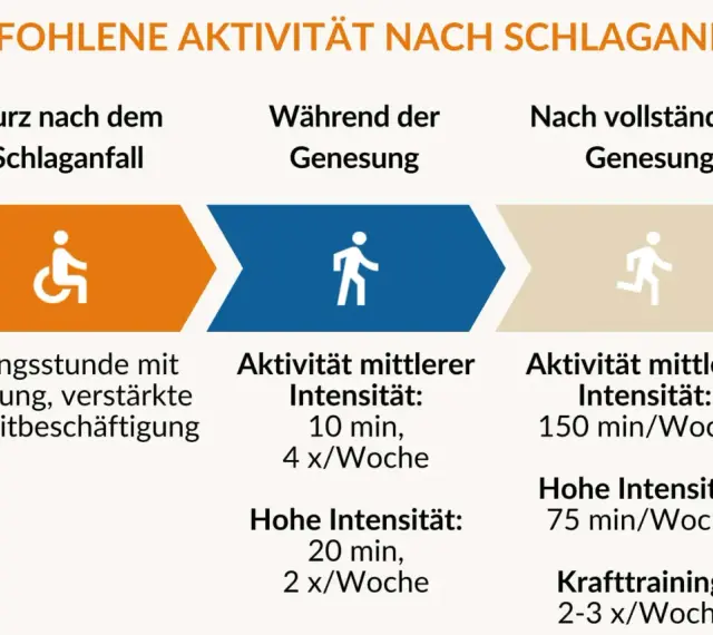 Empfohlene Aktivitäten nach Schlaganfall: Ergotherapie, Übungen, Beratung und gesteigerte Freizeitaktivitäten zur Genesung.