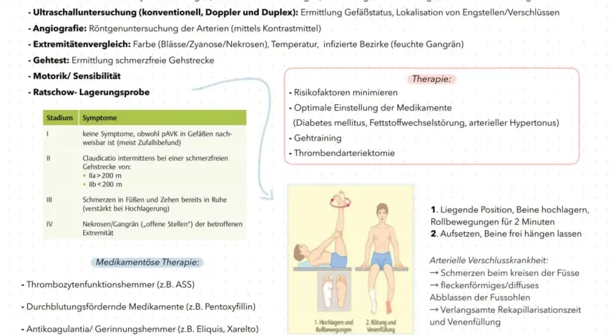 Schema zur Diagnose und Therapie der pAVK mit Illustrationen von Beinübungen.