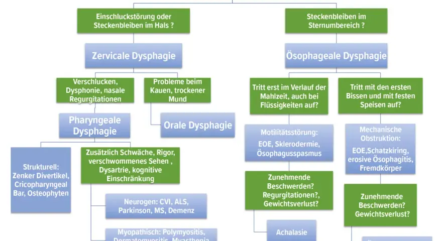 Flussdiagramm zur Unterscheidung von Schluckstörungen: zervikale und ösophageale Dysphagie.