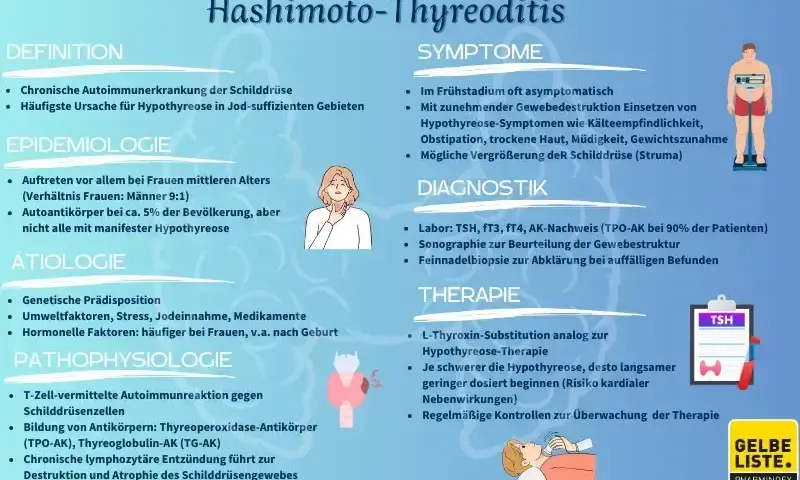 Hashimoto & Gehirn: Neurologische Symptome erkennen & behandeln