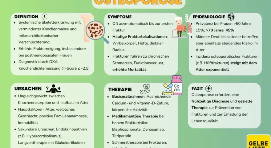 Infografik zu Osteoporose: Definition, Symptome, Ursachen, Therapie, Epidemiologie und Fazit.