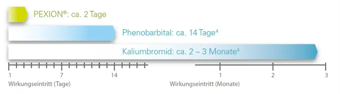 Epilepsie Hund Medikamente &Uuml;berblick