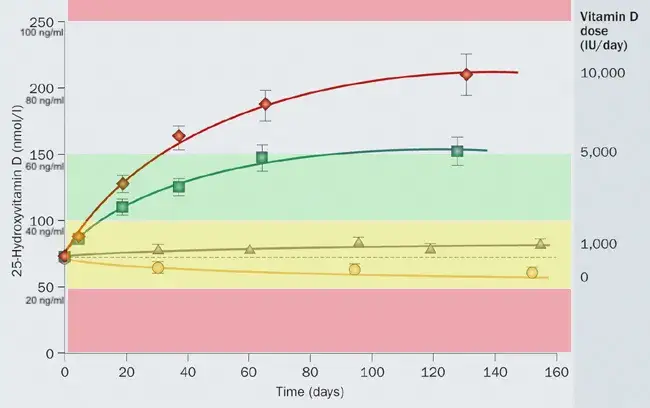 Vitamin D Rechner Formel