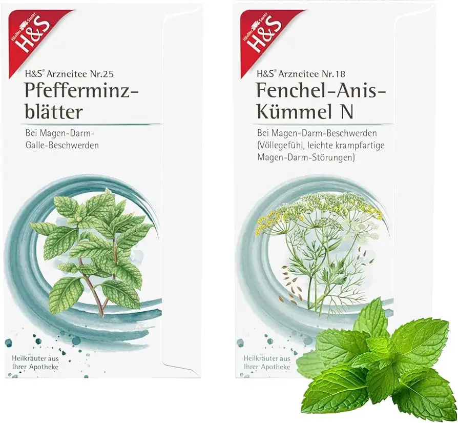 Pflanzliche Heilkräuter gegen Blähungen Fenchel Kümmel Anis