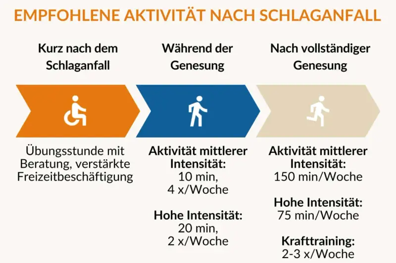 Empfohlene Aktivitäten nach Schlaganfall: Ergotherapie, Übungen, Beratung und gesteigerte Freizeitaktivitäten zur Genesung.